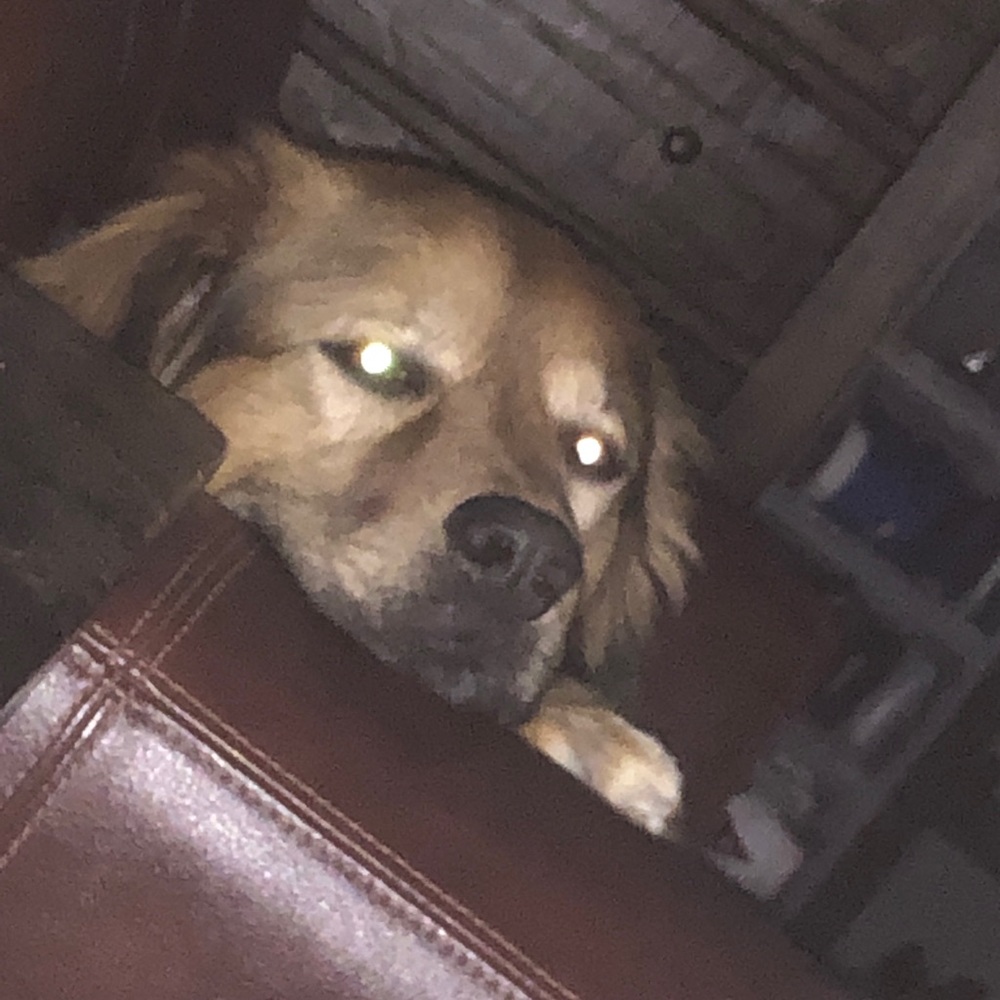 Meet your Posher, Jeffrey